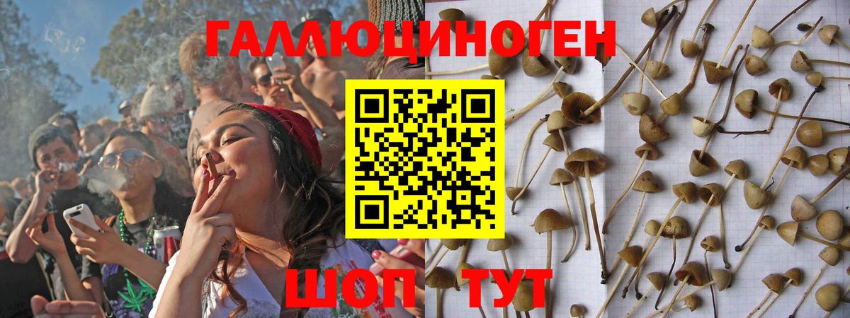 Галлюциногенные грибы Psilocybine cubensis  Вход с VPN  Псилоцибиновые грибы мухоморы  Лангепас 